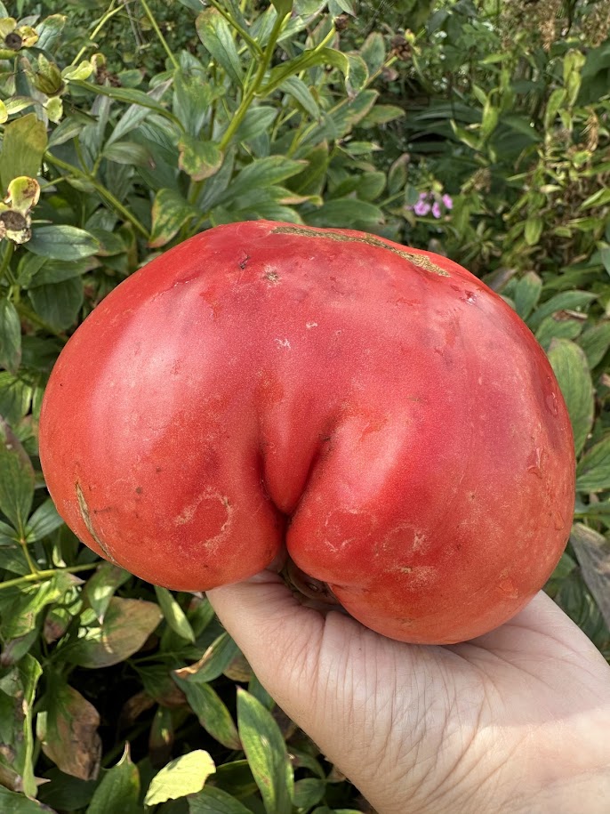 Мамине серце