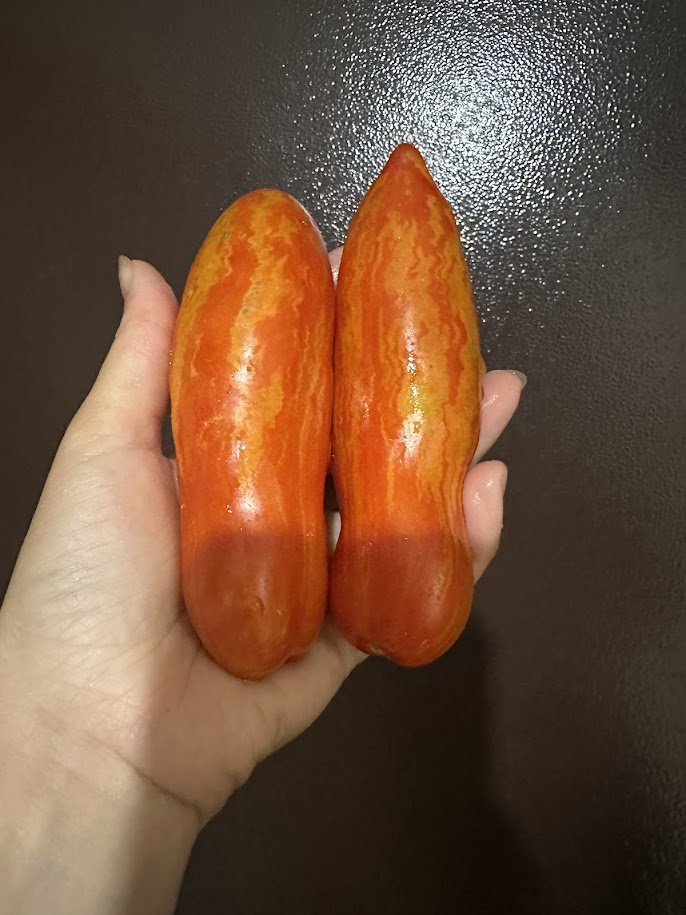 Римський полосатий