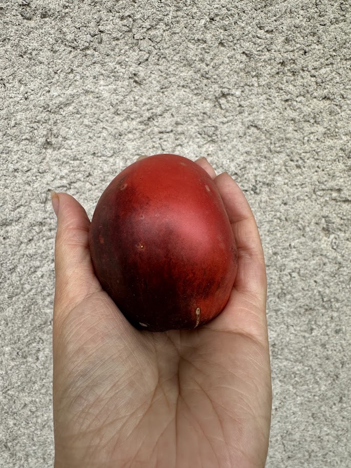 Сержант Паскаль